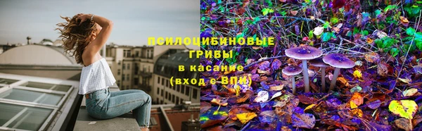 гидра Абдулино