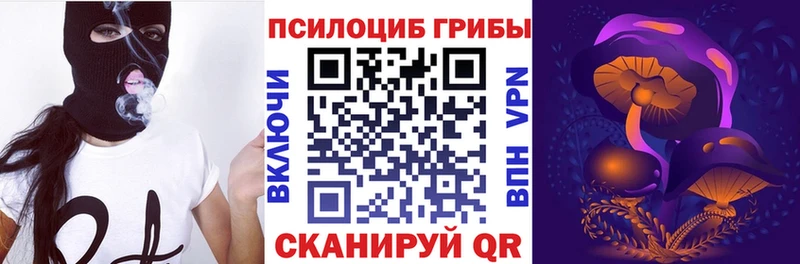 Псилоцибиновые грибы мухоморы  что такое   Астрахань 